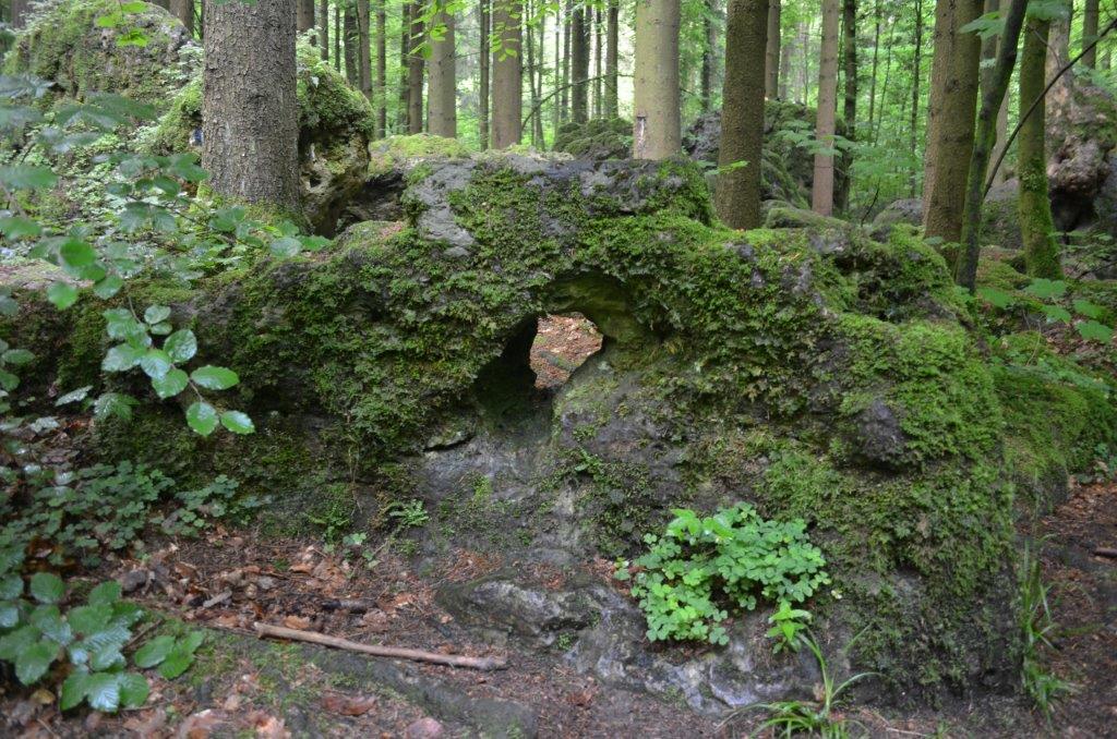 Naturerleben in der Fränkischen Schweiz